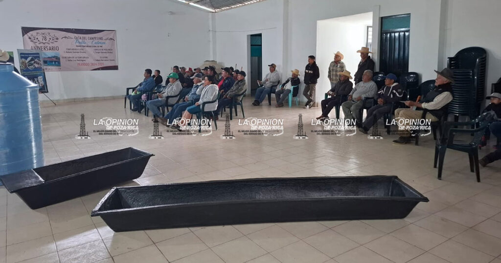 Ganaderos de Tecolutla refuerzan prevención contra el gusano barrenador Ganaderos de Tecolutla refuerzan prevención contra el gusano barrenador