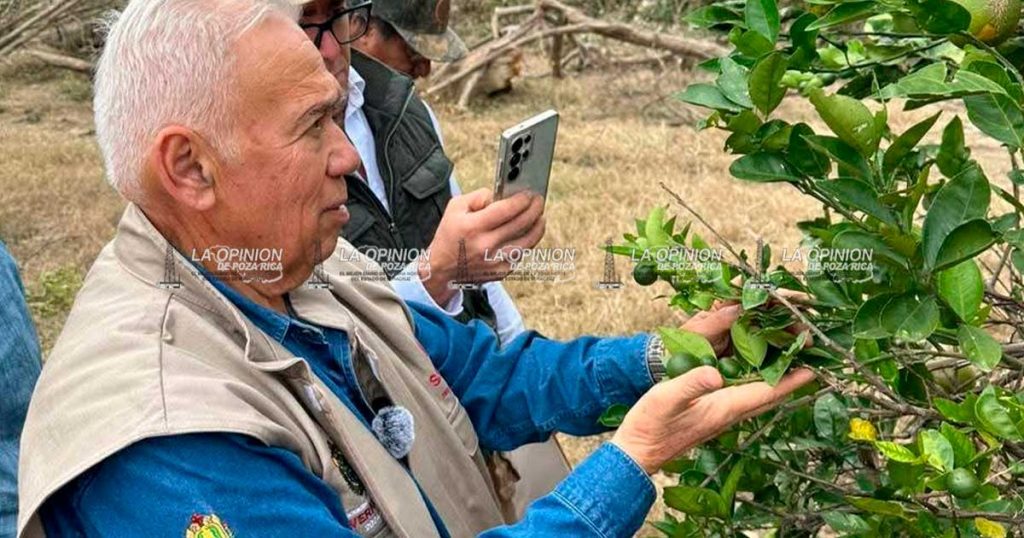 Promueven prácticas hacia la agricultura regenerativa Promueven prácticas hacia la agricultura regenerativa