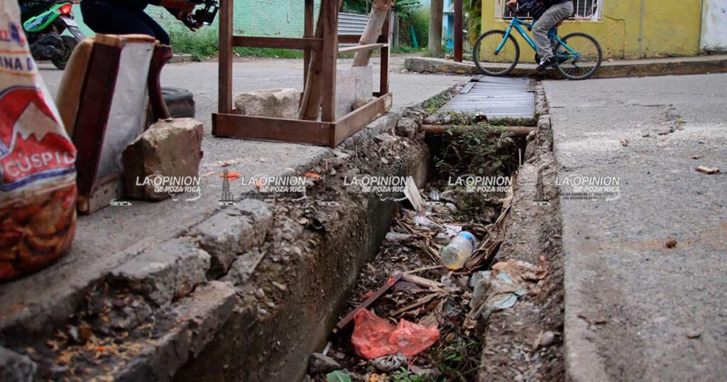 Se roban las rejillas en la colonia Manuel Ávila Camacho Se roban las rejillas en la colonia Manuel Ávila Camacho