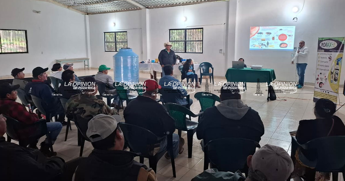 Ganaderos de Tecolutla refuerzan prevención contra el gusano barrenador Ganaderos de Tecolutla refuerzan prevención contra el gusano barrenador