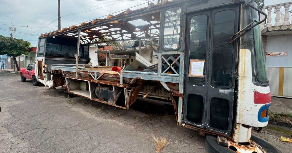 Más de 50 "autos maceta" han sido retirados de las calles Más de 50 "autos maceta" han sido retirados de las calles