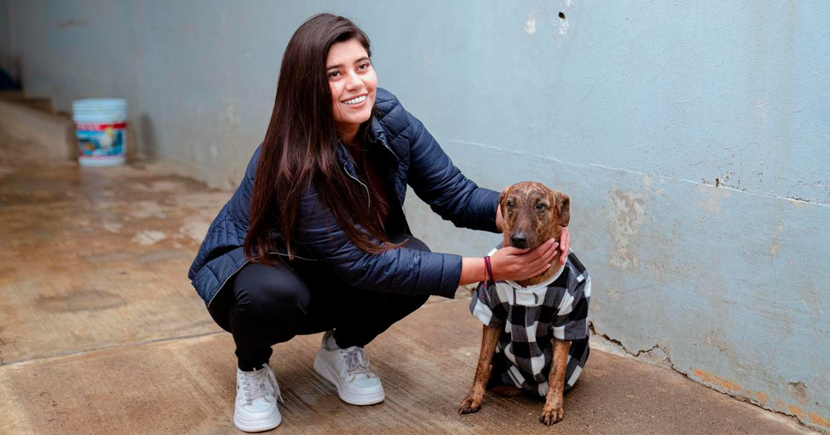 RECUPERARÁN CENTRO DE SALUD ANIMAL RECUPERARÁN CENTRO DE SALUD ANIMAL