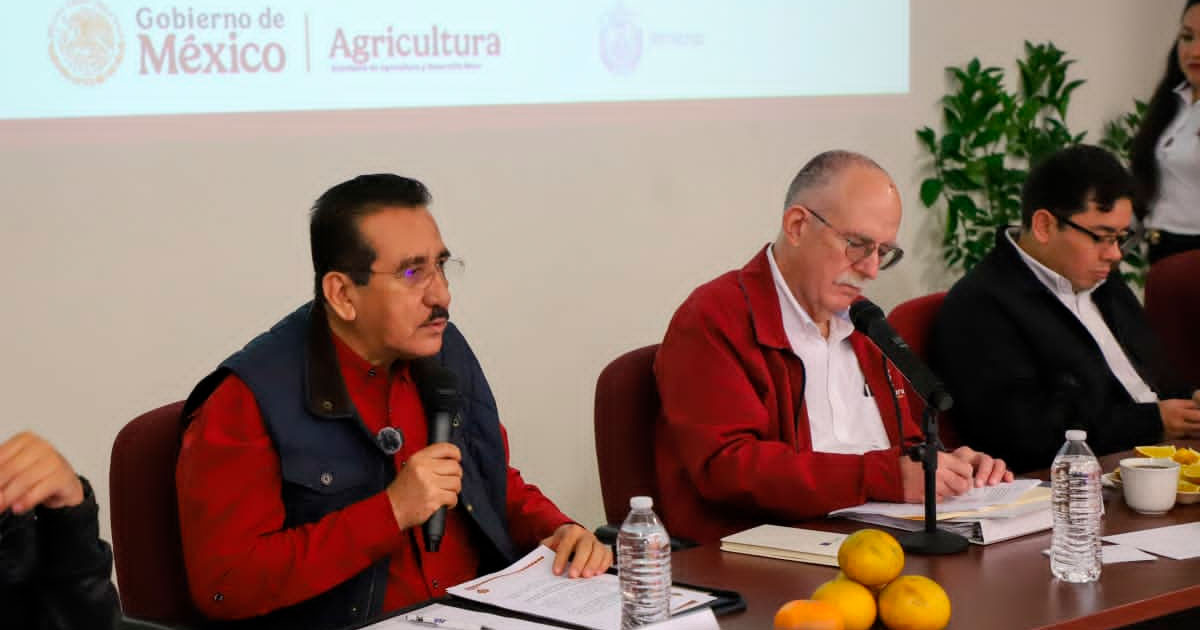 Anuncian Plan para recuperar citricultura Anuncian Plan para recuperar citricultura