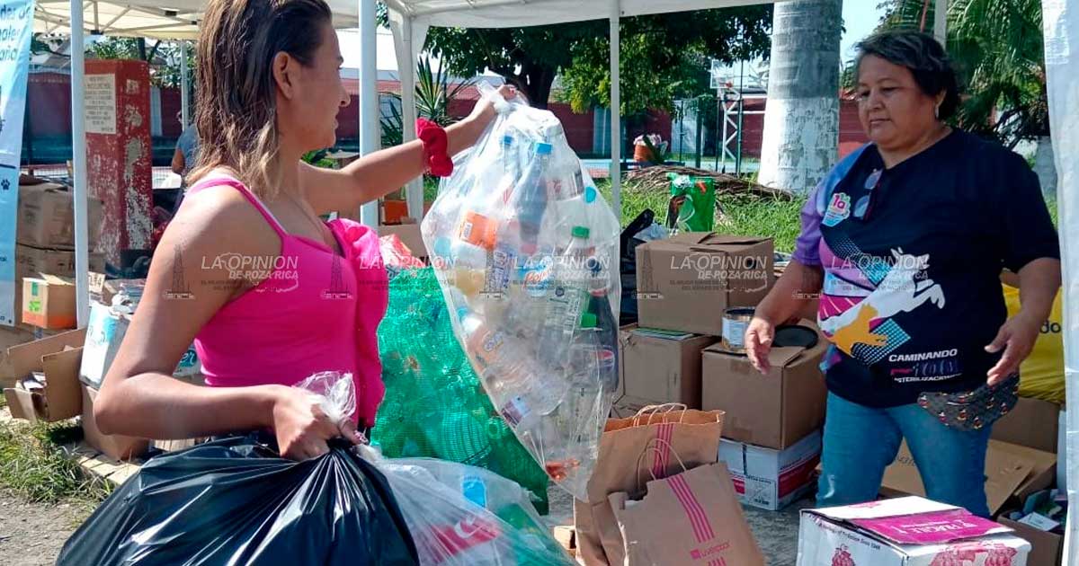 Sensibilidad animal desde el servicio público Sensibilidad animal desde el servicio público