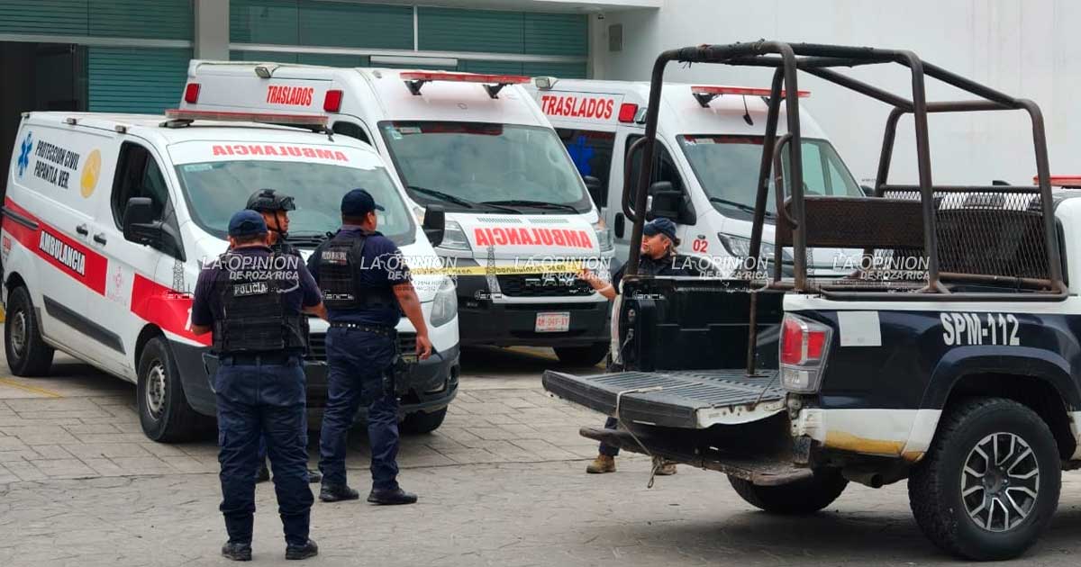 SE MATA AL CAER DE ÁRBOL SE MATA AL CAER DE ÁRBOL