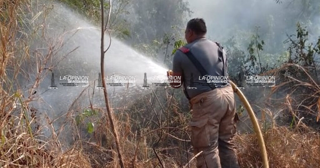 Registran aumento de incendios de pastizal por altas temperaturas Registran aumento de incendios de pastizal por altas temperaturas