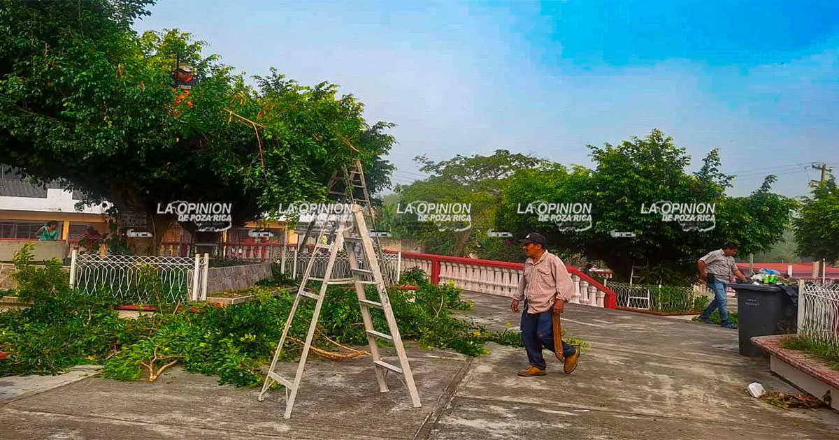 Realizan limpieza en el parque de Carrizal Realizan limpieza en el parque de Carrizal