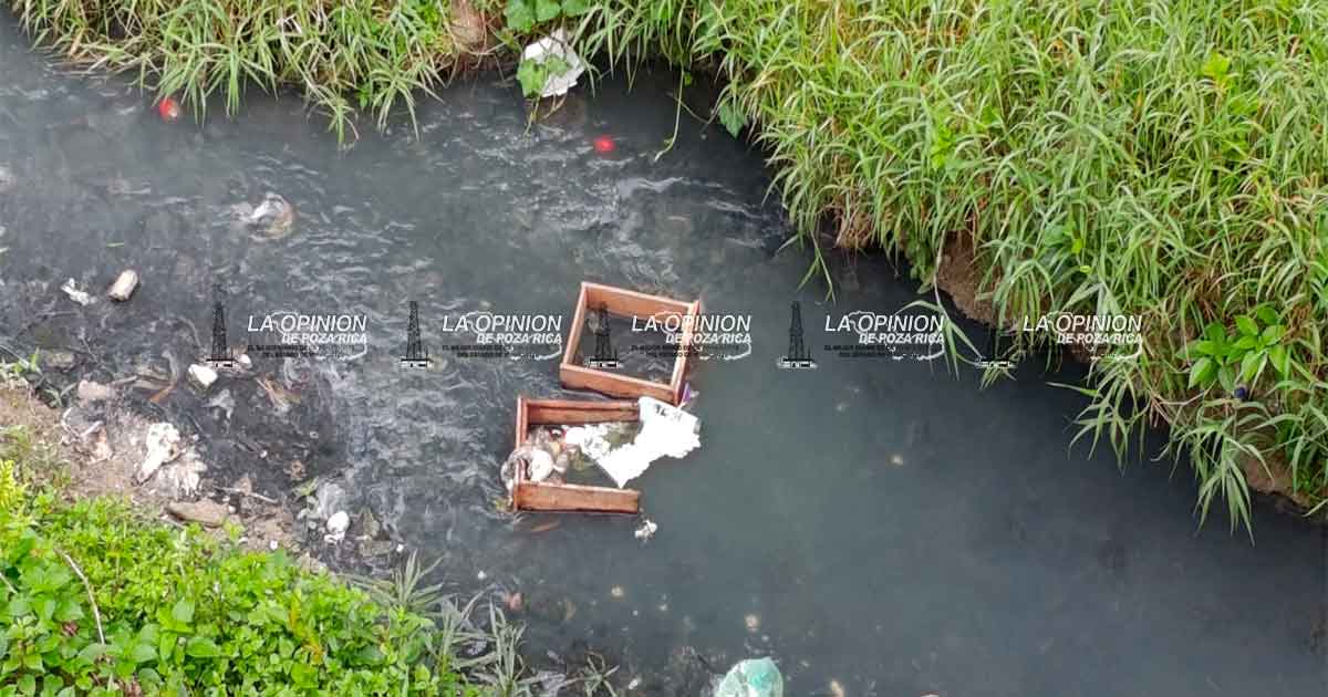 Abandonan feto humano bajo puente de aguas negras Abandonan feto humano bajo puente de aguas negras