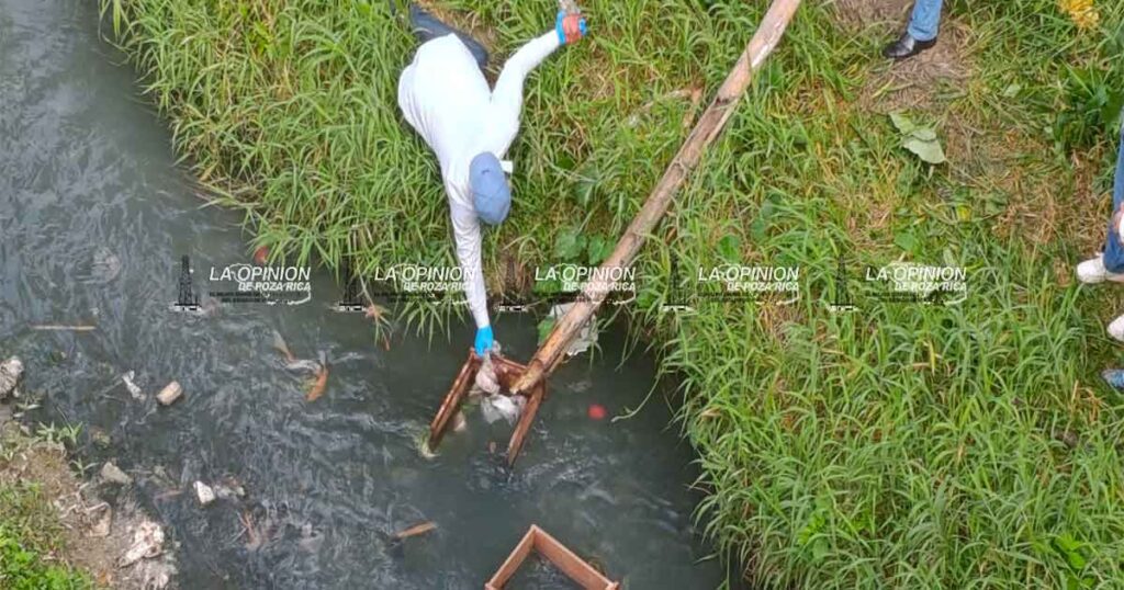 Abandonan feto humano bajo puente de aguas negras