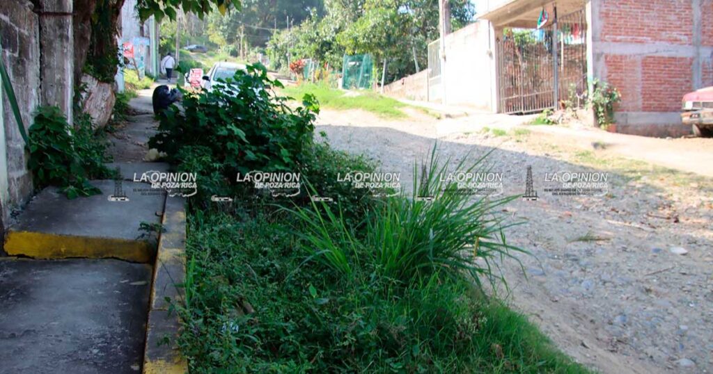 Vecinos de la Revolución solicitan rehabilitación de calles y servicios básicos Vecinos de la Revolución solicitan rehabilitación de calles y servicios básicos