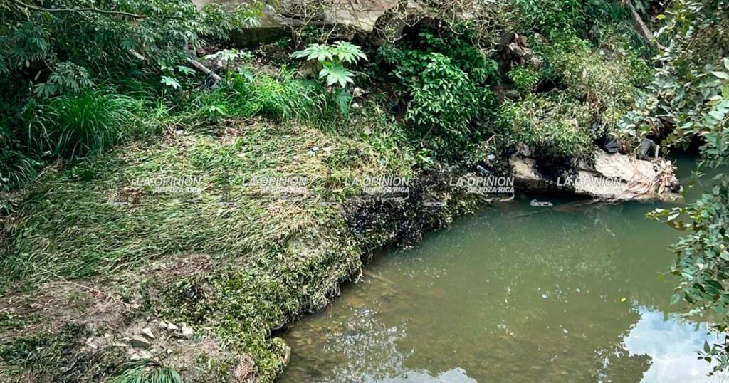 Hidrocarburo infesta la ciudad, en arroyos y calles de Poza Rica Hidrocarburo infesta la ciudad, en arroyos y calles de Poza Rica