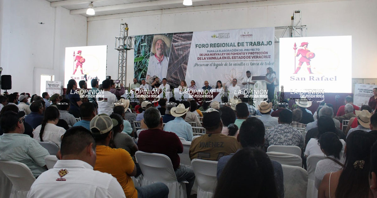 San Rafael, sede del Foro Regional para nueva Ley de Fomento y Protección de la Vainilla San Rafael, sede del Foro Regional para nueva Ley de Fomento y Protección de la Vainilla