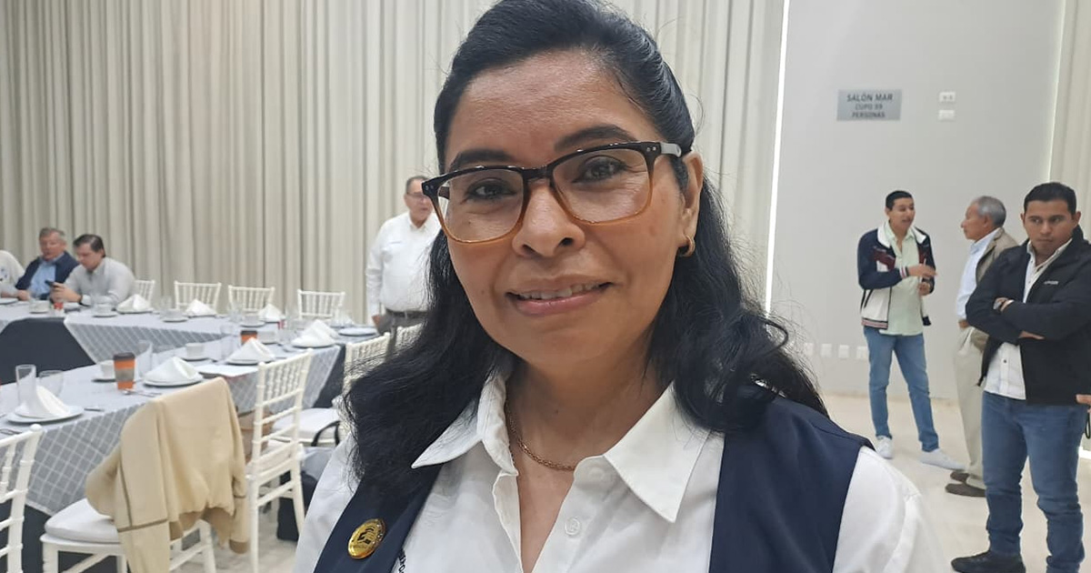 Guadalupe Hernández busca ser la segunda mujer en dirigir el Colegio de Ingenieros Civiles de Veracruz Guadalupe Hernández busca ser la segunda mujer en dirigir el Colegio de Ingenieros Civiles de Veracruz