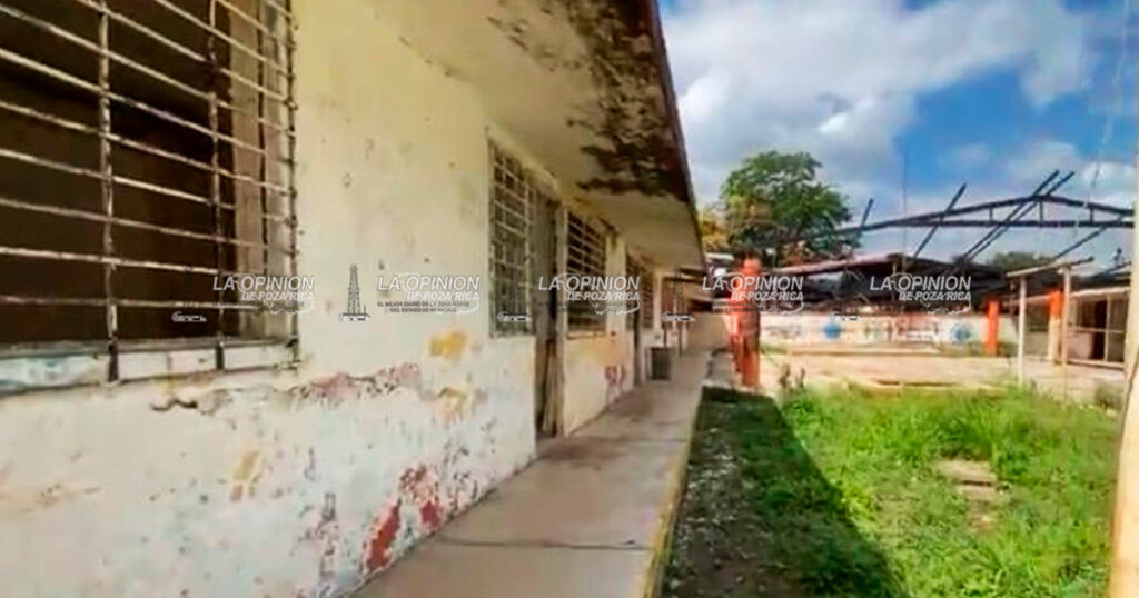 Toman clases en una biblioteca 75 alumnos de una primaria Toman clases en una biblioteca 75 alumnos de una primaria