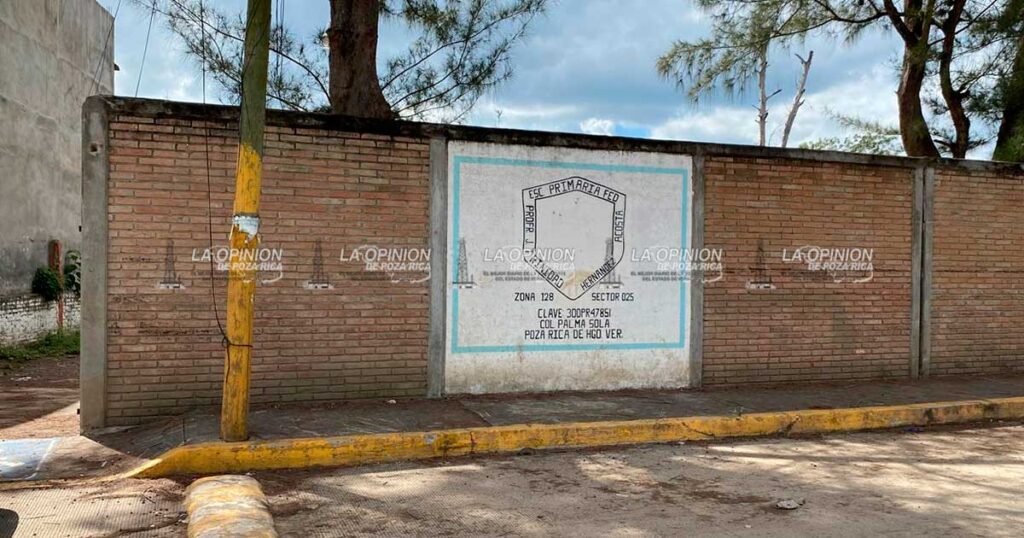 Toman clases en una biblioteca 75 alumnos de una primaria Toman clases en una biblioteca 75 alumnos de una primaria