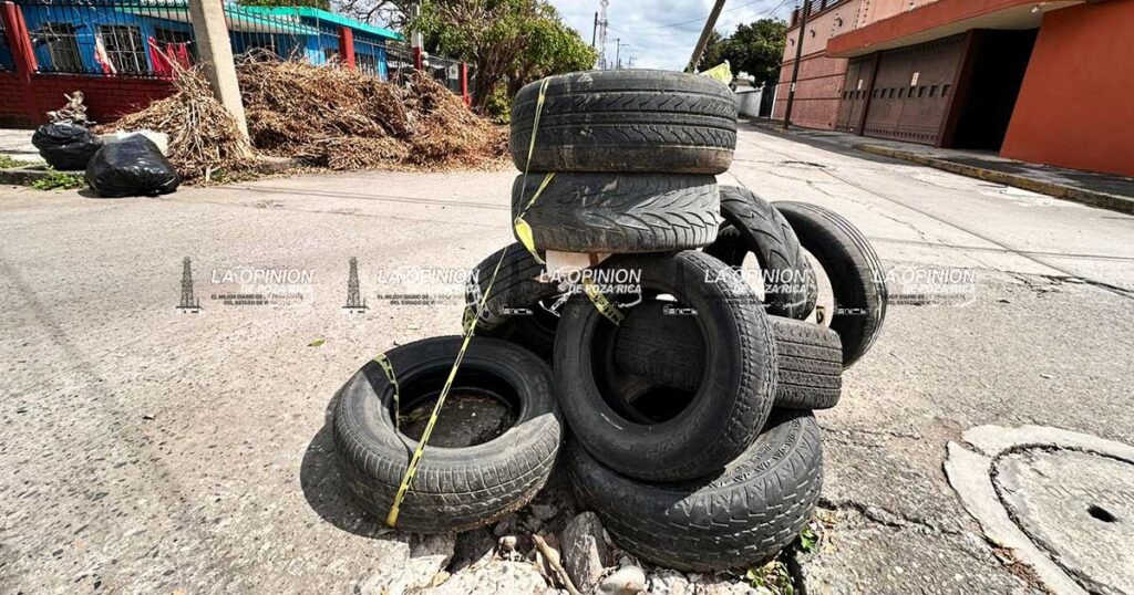 Reportan hundimiento en la calle Ignacio Ramírez de la colonia Benito Juárez Morena suspende derechos partidarios a Sergio Mayer La Comisión Nacional de Honestidad y Justicia de Morena determinó sancionar a Sergio Mayer. Consideró que su decisión de dejar temporalmente la diputación para participar en La Casa de los Famosos impactó negativamente la imagen del partido.