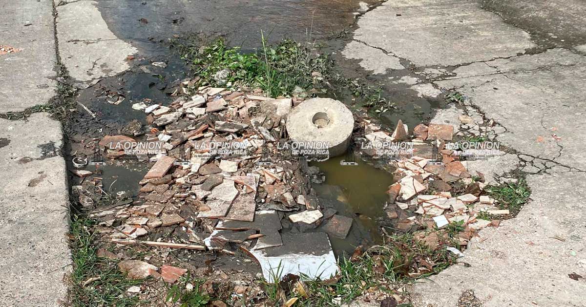 Revienta drenaje y contamina calle, banqueta y frentes de viviendas Revienta drenaje y contamina calle, banqueta y frentes de viviendas