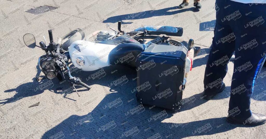 ¡Se dieron con todo! ¡Se dieron con todo!