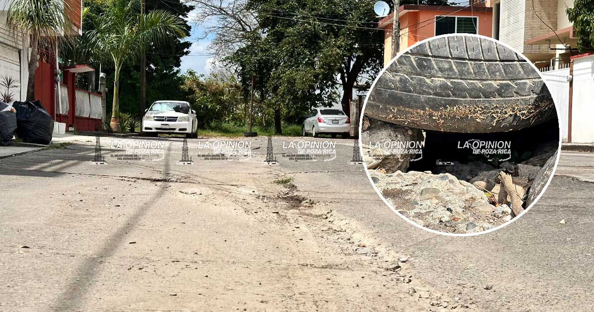 Reportan hundimiento en la calle Ignacio Ramírez de la colonia Benito Juárez Morena suspende derechos partidarios a Sergio Mayer La Comisión Nacional de Honestidad y Justicia de Morena determinó sancionar a Sergio Mayer. Consideró que su decisión de dejar temporalmente la diputación para participar en La Casa de los Famosos impactó negativamente la imagen del partido.