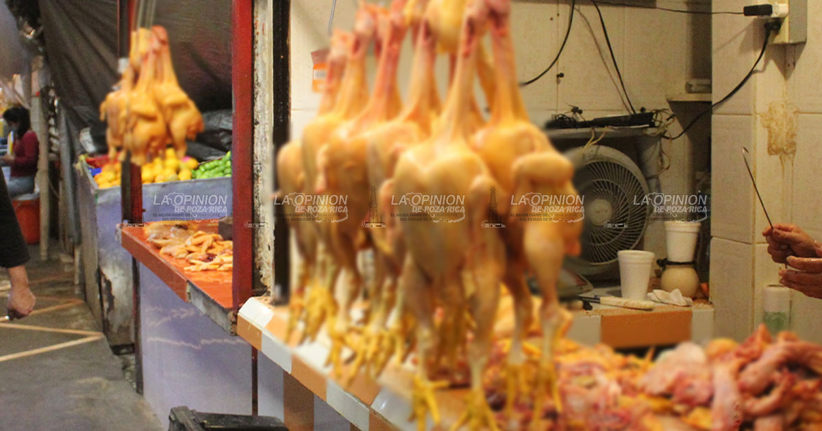 ¡Poza Rica inundado de pollo clandestino! ¡Poza Rica inundado de pollo clandestino!