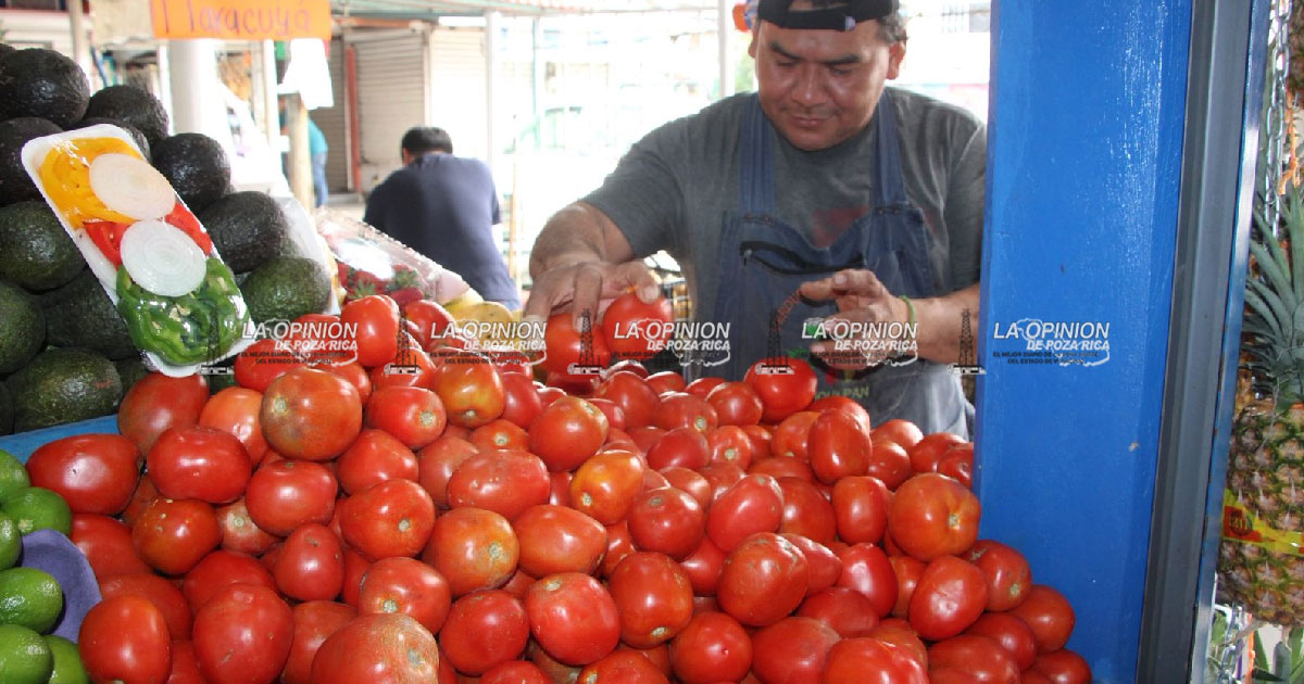 Aumenta el precio del tomate; alcanza hasta los 45 pesos por kilo Aumenta el precio del tomate; alcanza hasta los 45 pesos por kilo