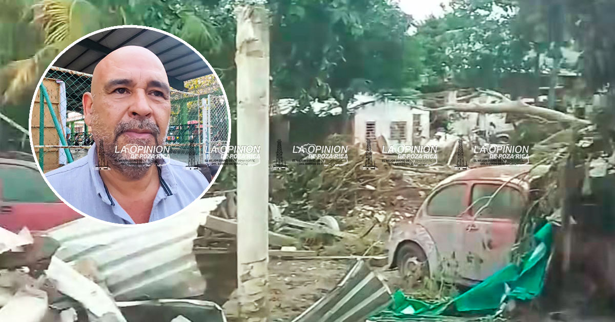 Arranca campaña de reforestación en sectores afectados por la inundación Arranca campaña de reforestación en sectores afectados por la inundación