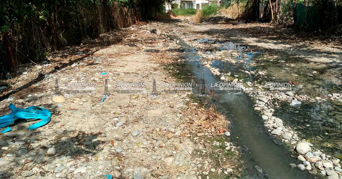 Drenaje a cielo abierto afecta a varias familias de la Salvador Allende Drenaje a cielo abierto afecta a varias familias de la Salvador Allende