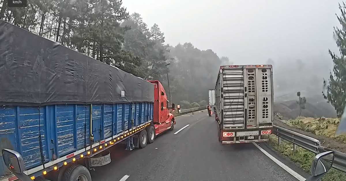 Asaltan tráiler de ganado en autopista Orizaba-Puebla con retén falso Asaltan tráiler de ganado en autopista Orizaba-Puebla con retén falso