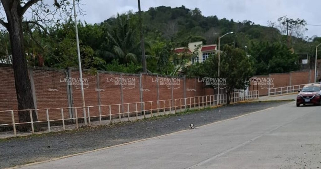 Reportan otro puente vehicular sin barandal en la Petromex