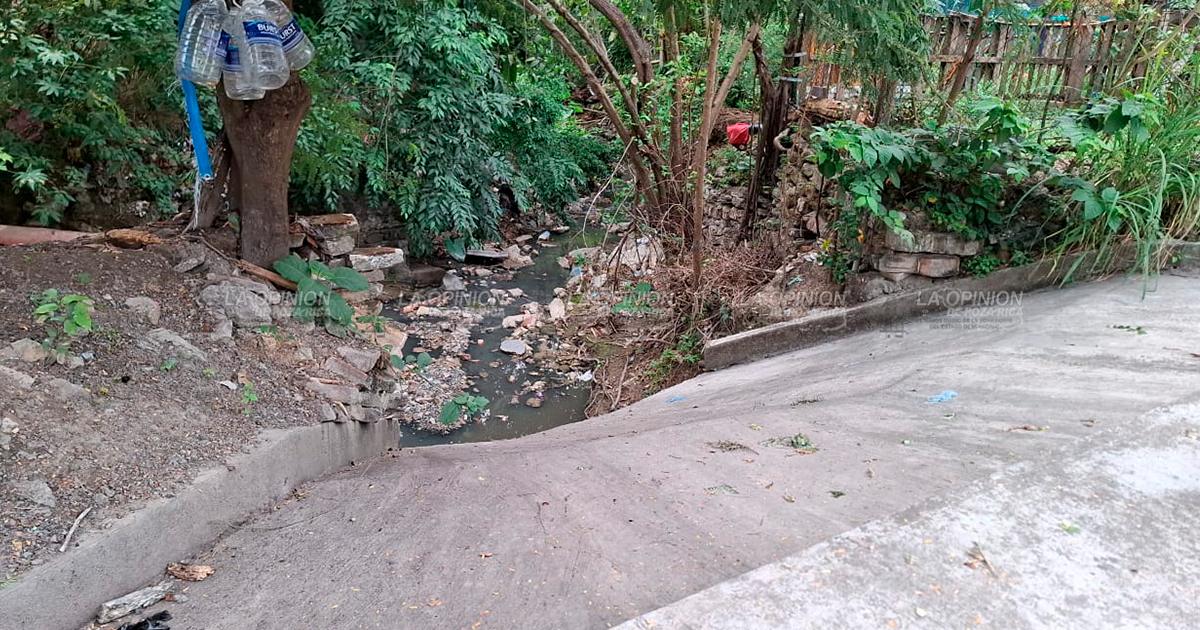 Reportan otro puente vehicular sin barandal en la Petromex