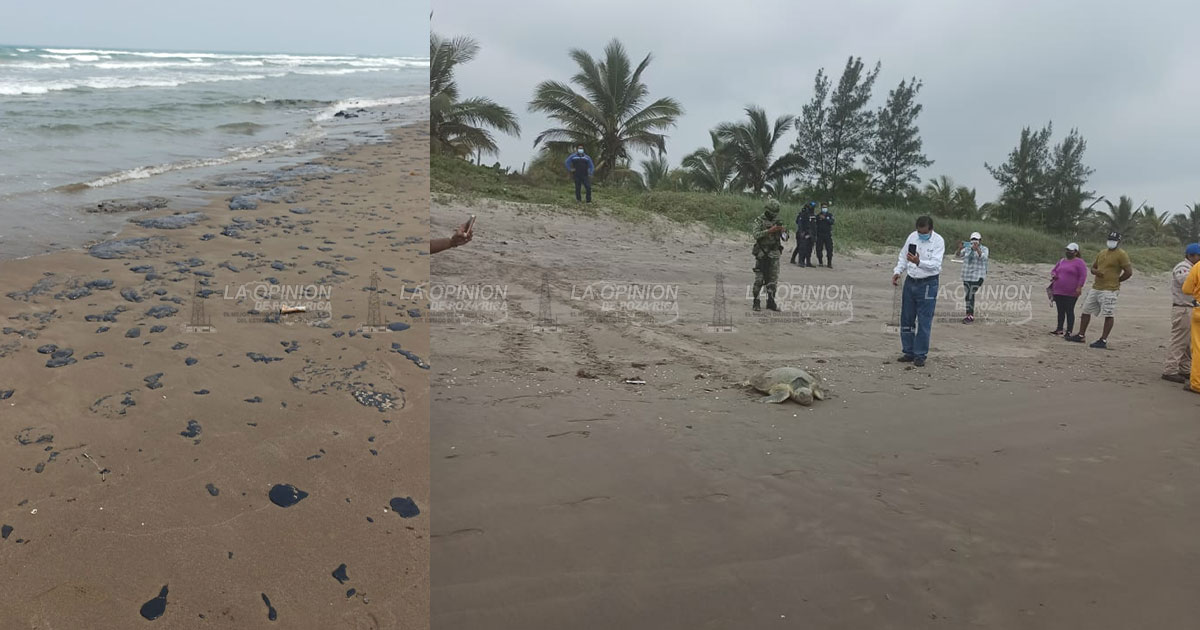 Ambientalistas temen que derrame en el Golfo alcance la zona norte Ambientalistas temen que derrame en el Golfo alcance la zona norte