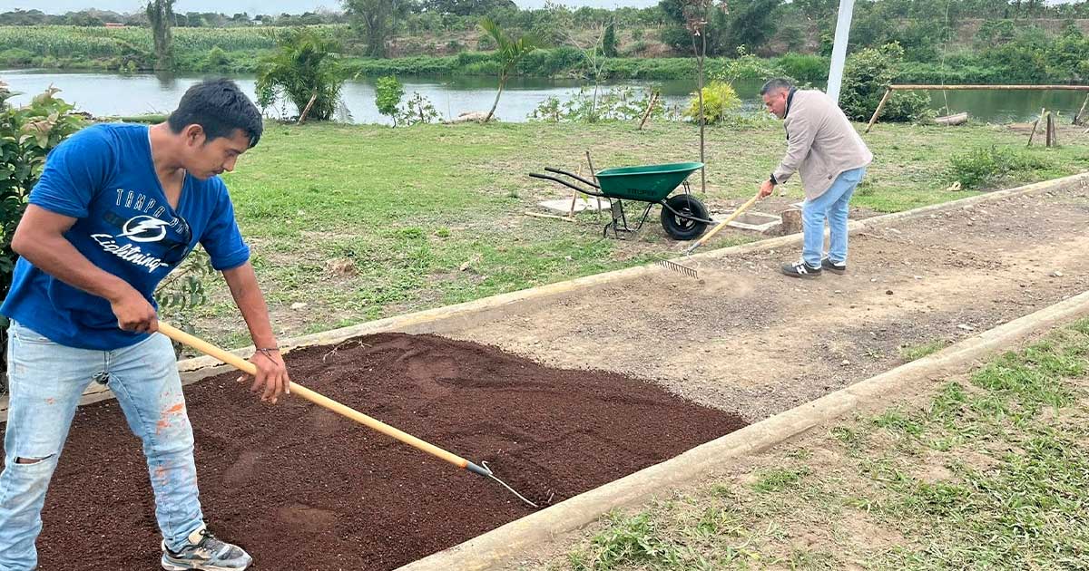 BRILLAN ÁREAS DEPORTIVAS BRILLAN ÁREAS DEPORTIVAS