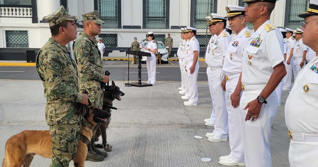 Tres caninos causan baja del servicio activo de la Armada de México Tres caninos causan baja del servicio activo de la Armada de México
