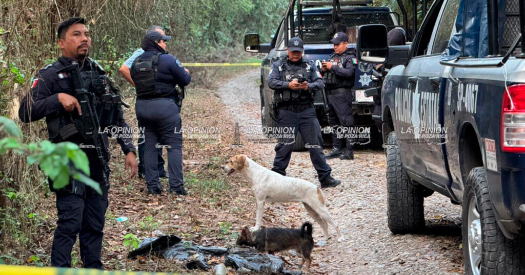 Localizan cadáver en una brecha Localizan cadáver en una brecha