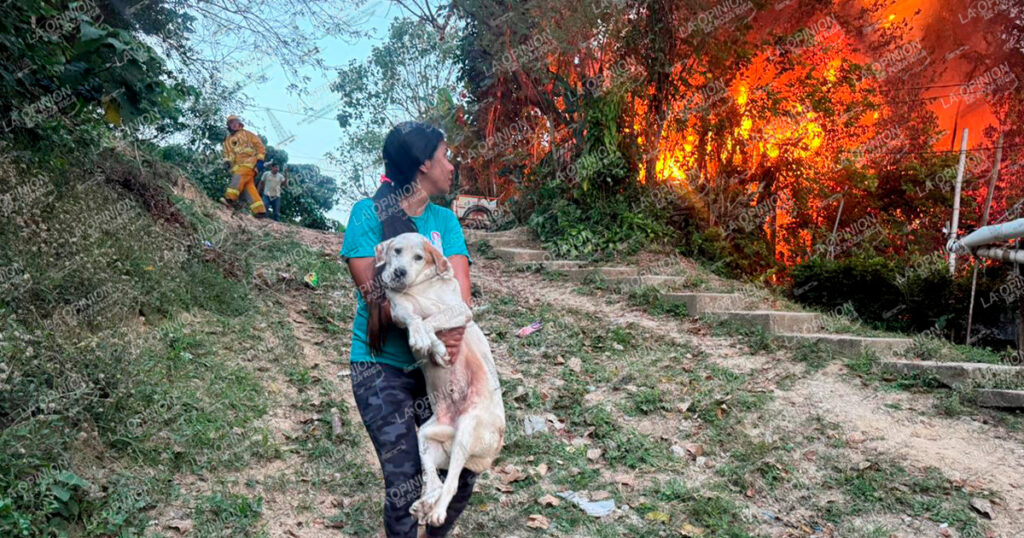 ¡SE QUEMAN DOS CASAS! ¡SE QUEMAN DOS CASAS!