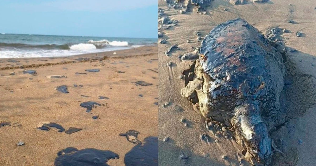 Ya son 39 comunidades afectadas por derrame Ya son 39 comunidades afectadas por derrame