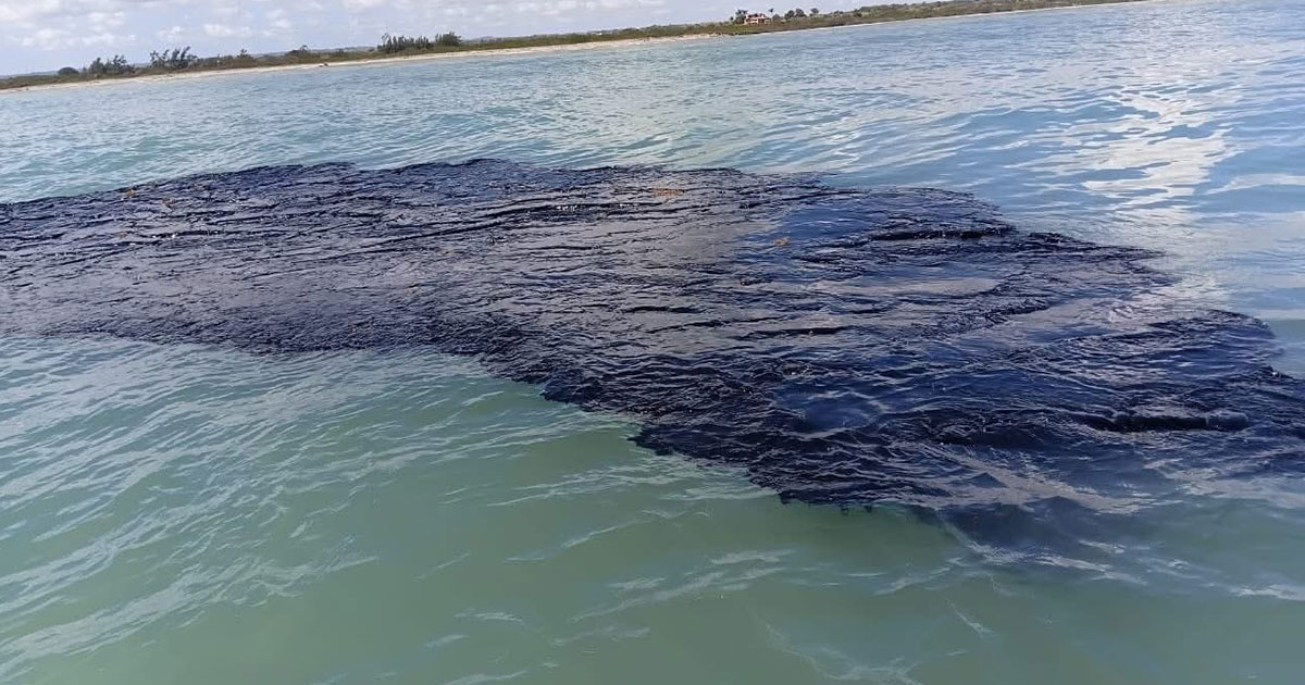Greenpeace alerta por derrame petrolero sin control en el Golfo de México Greenpeace alerta por derrame petrolero sin control en el Golfo de México