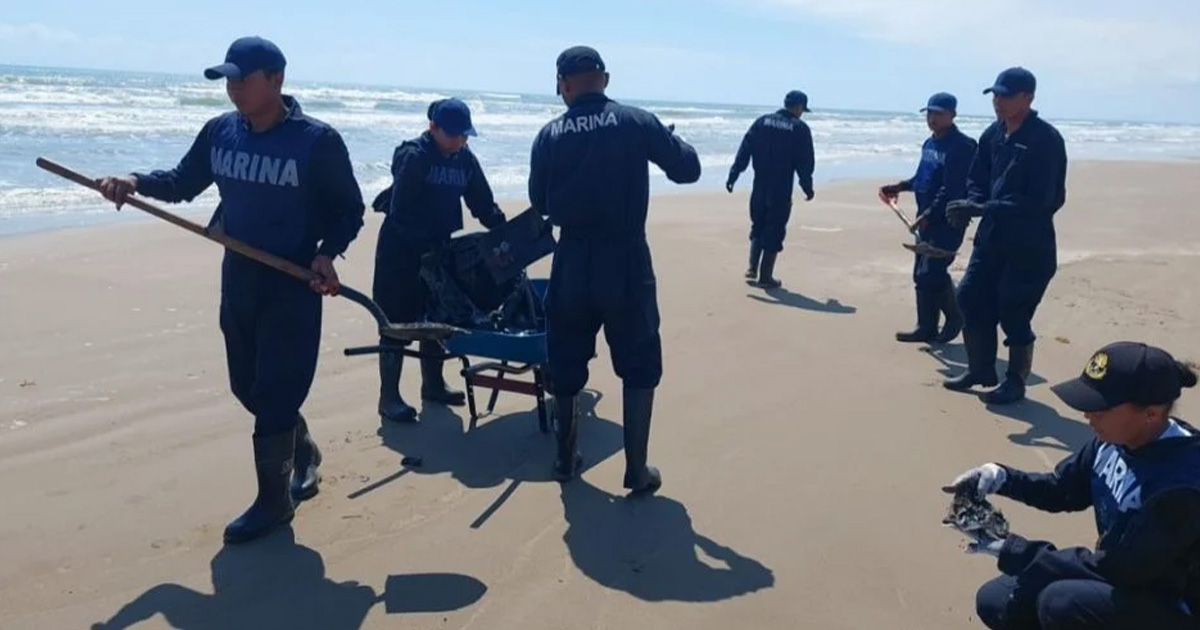 Suspenden pesca en Vega de Alatorre y Nautla tras derrame de hidrocarburo Suspenden pesca en Vega de Alatorre y Nautla tras derrame de hidrocarburo