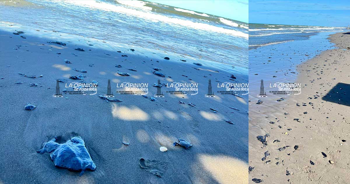 Alertan por manchas de hidrocarburo en Rancho Playa Alertan por manchas de hidrocarburo en Rancho Playa