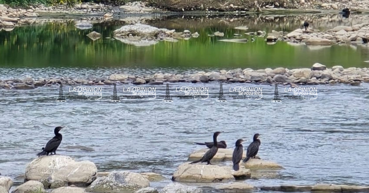 Piden autoridades racionar el agua en esta temporada de estiaje Piden autoridades racionar el agua en esta temporada de estiaje