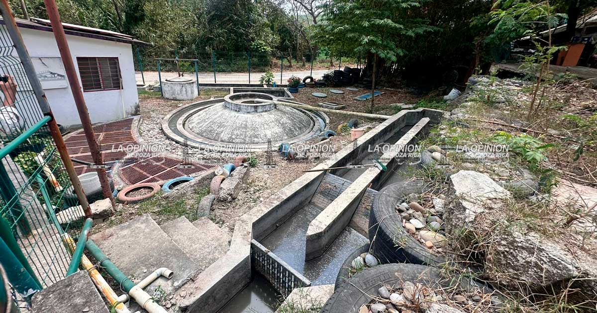 Planta de tratamiento genera foco de infección para el sector Fraternidad Antorchista Planta de tratamiento genera foco de infección para el sector Fraternidad Antorchista