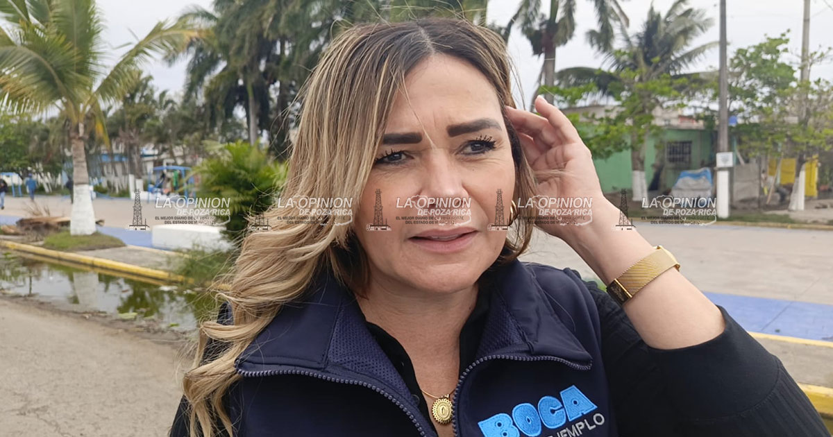 62 afectaciones y más de 15 colonias sin luz en Boca del Río tras "nortazo" del FF41 62 afectaciones y más de 15 colonias sin luz en Boca del Río tras "nortazo" del FF41
