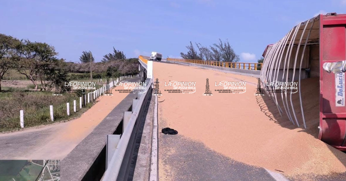 Vuelca tráiler cargado con trigo Vuelca tráiler cargado con trigo