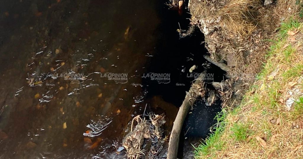 ¡Que cochinero! Hidrocarburo contamina el arroyo El Huéleque ¡Que cochinero! Hidrocarburo contamina el arroyo El Huéleque