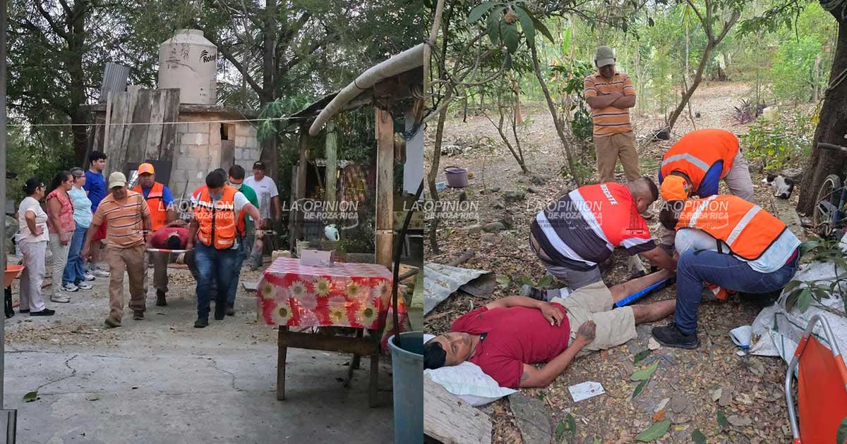 Masculino se lesiona al caer de un árbol Masculino se lesiona al caer de un árbol