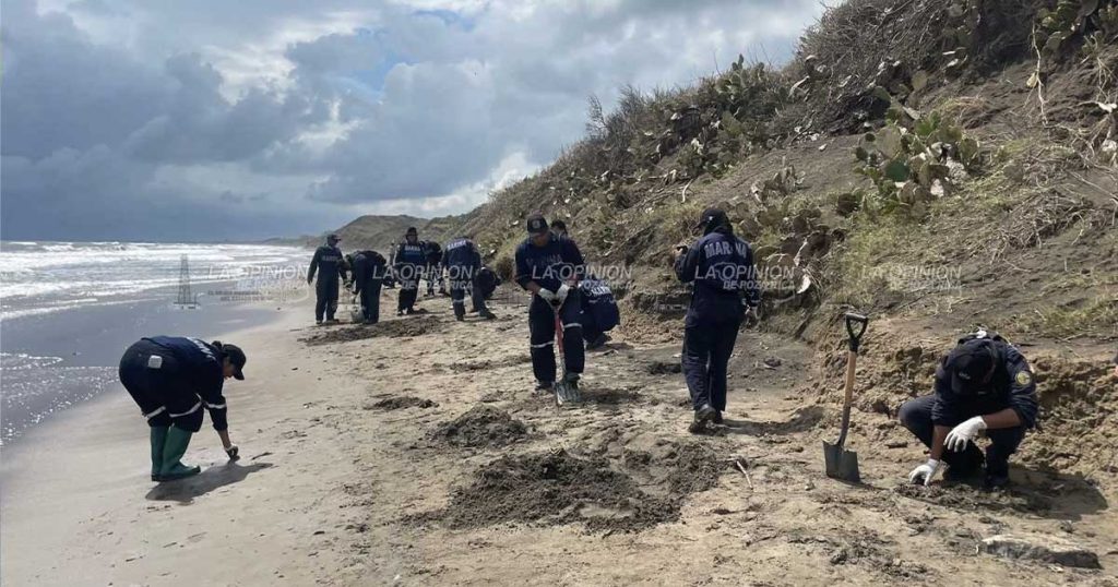 Pescadores realizan captura masiva de jurel y descartan afectaciones Pescadores realizan captura masiva de jurel y descartan afectaciones