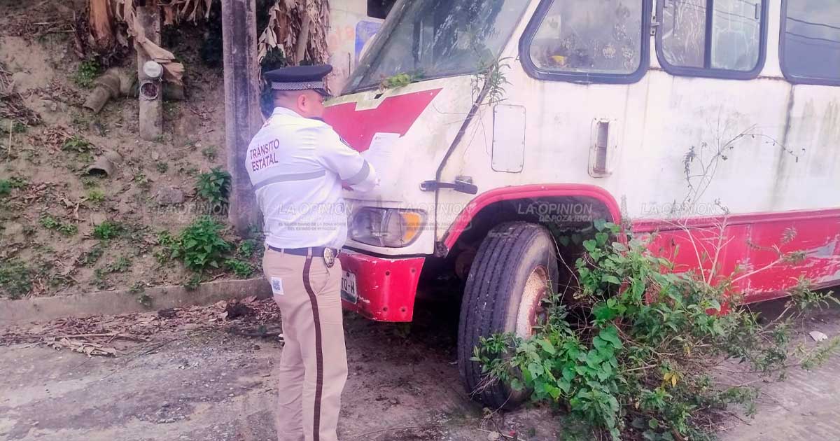 Refuerzan “Operativo Maceta” para recuperar espacios públicos Refuerzan “Operativo Maceta” para recuperar espacios públicos