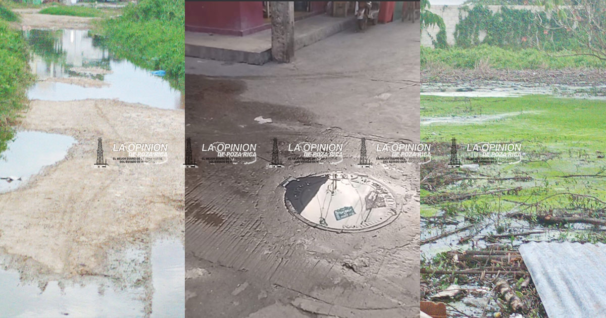 Aguas negras siguen desbordándose en calles de Tecolutla Aguas negras siguen desbordándose en calles de Tecolutla