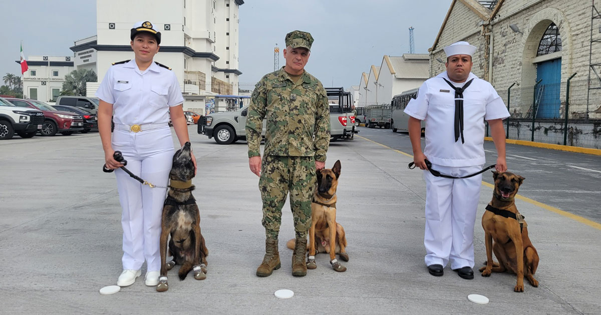 Tres caninos causan baja del servicio activo de la Armada de México Tres caninos causan baja del servicio activo de la Armada de México