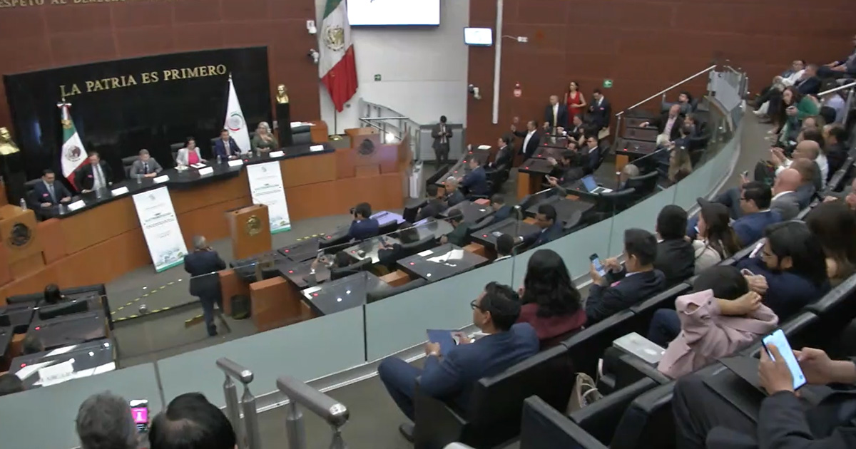 Senado exhorta a congresos estatales a garantizar derechos de las mujeres Senado exhorta a congresos estatales a garantizar derechos de las mujeres
